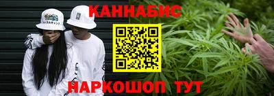 a pvp Камышлов