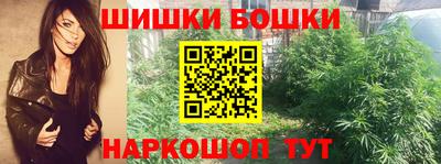 a pvp Камышлов