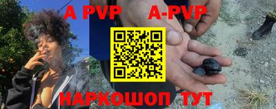 a pvp Камышлов