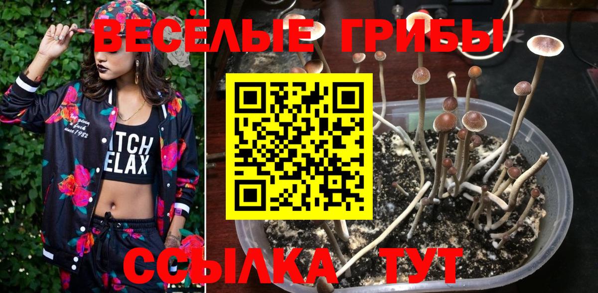 Кострома  Псилоцибиновые грибы прущие грибы  Вход с VPN 